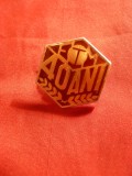 Insigna FTM- 40 Ani , metal si email , h= 2,2 cm