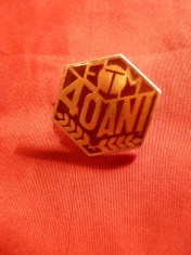 Insigna FTM- 40 Ani , metal si email , h= 2,2 cm
