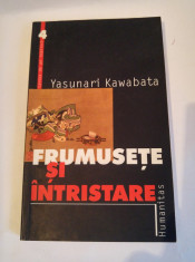 Yasunari Kawabata - Frumusete Si intristare, Ed. Humanitas, 2000 foto