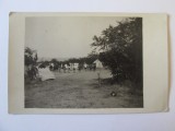 Fotografie carte postala 135 x 85 mm tabara de cercetasi anii 20, Alb-Negru, Romania 1900 - 1950, Natura