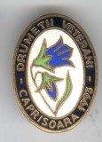 DRUMETII VETERANI - CAPRISOARA 1993 Insigna ALPINISM email, SUPERBA