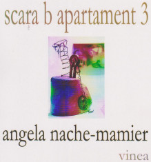 Angela Nache-Mamier, Scara b apartament 3 foto