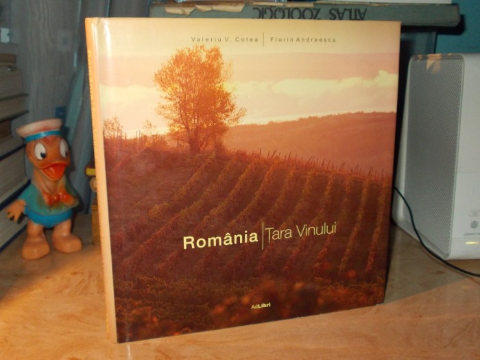 VALERIU COTEA - ROMANIA , TARA VINULUI ( ALBUM IN LIMBA ROMANA ) - 2008 *