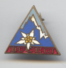 Insigna Superba - Turism Alpinism - Floare de Colt - BUCEGI foto