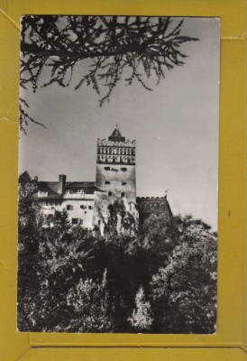 BRAN 1966 foto