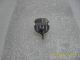 insigna AS Somesul SM