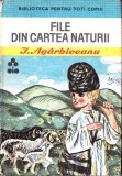 File din cartea naturii