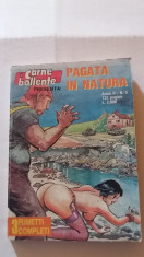 Benzi desenate erotice Internazionali Ediperiodici - Pagata in nature foto