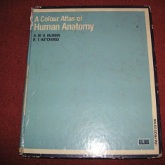 R.M.H. McMinn - Colour Atlas Of Human Anatomy