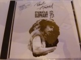Paul Amrod and purple elephant -236