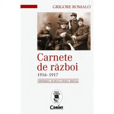 CARNETE DE RAZBOI 1916 - 1917 foto