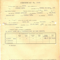 Z402 DOCUMENT VECHI- CERTIFICAT COCHINO MARIA, NASCUTA 1936, FICA LUI COCHINO GH
