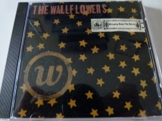 The Wallflowers - cd foto