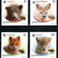 Romania 2012, LP 1960, Pui de animale salbatice, seria, MNH! LP 39,50 lei