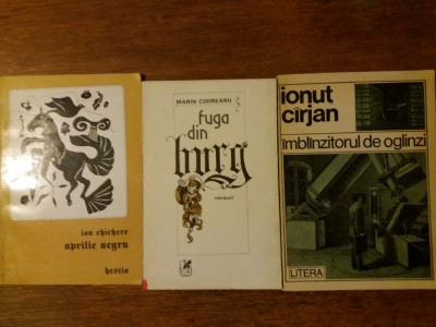 Lot 3 carti de poezie cu dedicatii si autografe / R2P5F foto