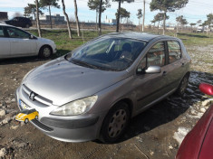 Peugeot 307 foto