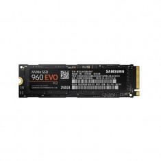 SM SSD 250GB 960EVO M.2 MZ-V6E250BW foto