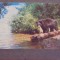 S.U.A. - BLACK BEAR - PARCUL NATIONAL ELDRED, N. Y. -CIRCULATA, TIMBRATA .