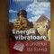 n4 Energia vibratoare a undelor de forma - Jean-Paul Ronecker