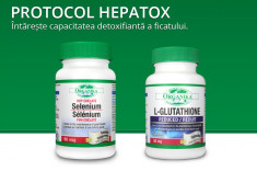 HEPATOX Detoxifiere FICAT CELULA HEPATICA foto