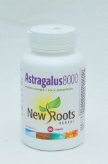 ASTRAGALUS 8000 - 90 capsule foto