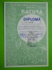 HOPCT DIPLOMA NR 41 -DIPLOMA DE ONOARE EXPO FILATELICA TIMISOARA NATURA 1994