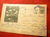Carte Postala ilustrata -Nuferi ,cod.303/ 1964, Circulata, Printata