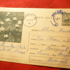 Carte Postala ilustrata -Nuferi ,cod.303/ 1964