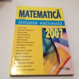 MATEMATICA PENTRU TESTAREA NATIONALA GINA GABA,RF13/1