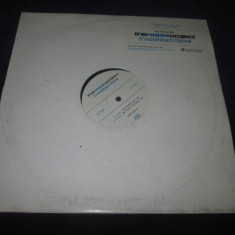 The Reese Project - The Colour Of Love _ vinyl,12" _ Network Rec (UK)