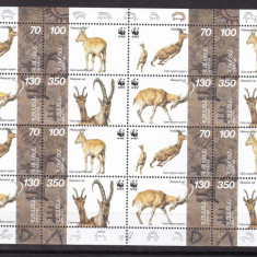 Armenia 1996 fauna WWF MI 298-301 kleib. MNH w48
