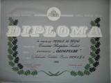 HOPCT DIPLOMA NR 78-DIPLOMA DE ONOARE EXPO FILATELICA BUCURESTI 1986 OLIMPIADE