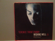 TERENCE TRENT D&amp;#039;ARBY - WISHING WELL(1987/CBS/HOLLAND) - VINIL Maxi-Single &amp;quot;12/NM foto