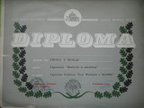 HOPCT DIPLOMA NR 77-DIPLOMA DE ONOARE EXPO FILATELICA BUCURESTI 1986 Z SANATATII