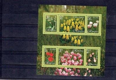 Romania 2006 - bl. 373 - lalele foto