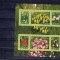 Romania 2006 - bl. 373 - lalele