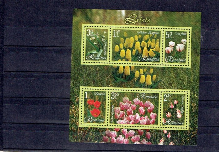 Romania 2006 - bl. 373 - lalele