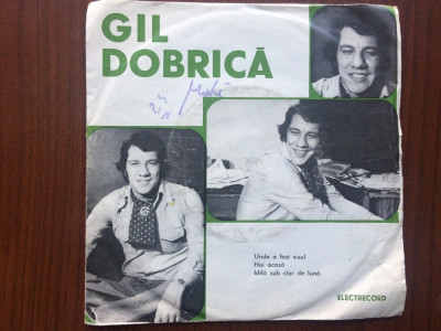 Gil Dobrica unde a fost visul hai acasa idila disc single vinyl muzica pop VG+ foto