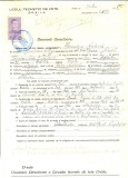 Z488 DOCUMENT VECHI -LICEUL TEORETIC DE FETE , BRAILA-ALEXANDRINA NESTOZIDE-1942