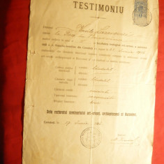 Testimoniu- Diploma Facultatea Teologica Ort-Orientala Cernauti 1926 Universitat
