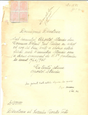 521 DOCUMENT VECHI -LICEUL TEORTIC DE FETE BRAILA - DUMITRA STANCIU -1946 foto