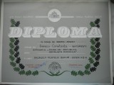 HOPCT DIPLOMA NR 80 -DIPLOMA DE ONOARE EXPO FILATELICA BUCURESTI 1985 FLORA