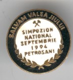 Salvam Valea Jiului - Simpozion 1994, Insigna MINERIT - email, Superba