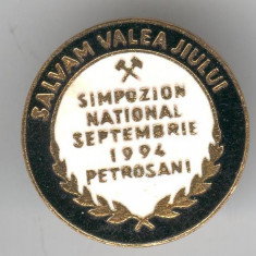 Salvam Valea Jiului - Simpozion 1994, Insigna MINERIT - email, Superba