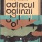 Adancul oglinzii