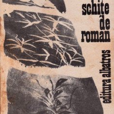 Schițe de roman