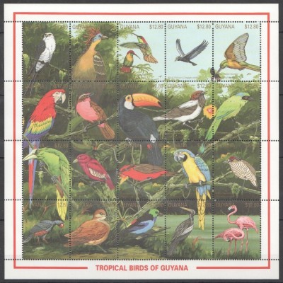 GUYANA 1999 PASARI TROPICALE foto