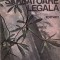 Sărbătoare legală