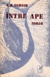 &Icirc;ntre ape