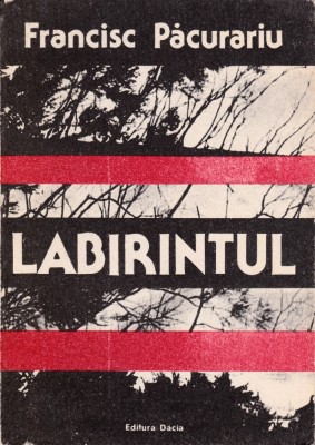 Labirintul foto